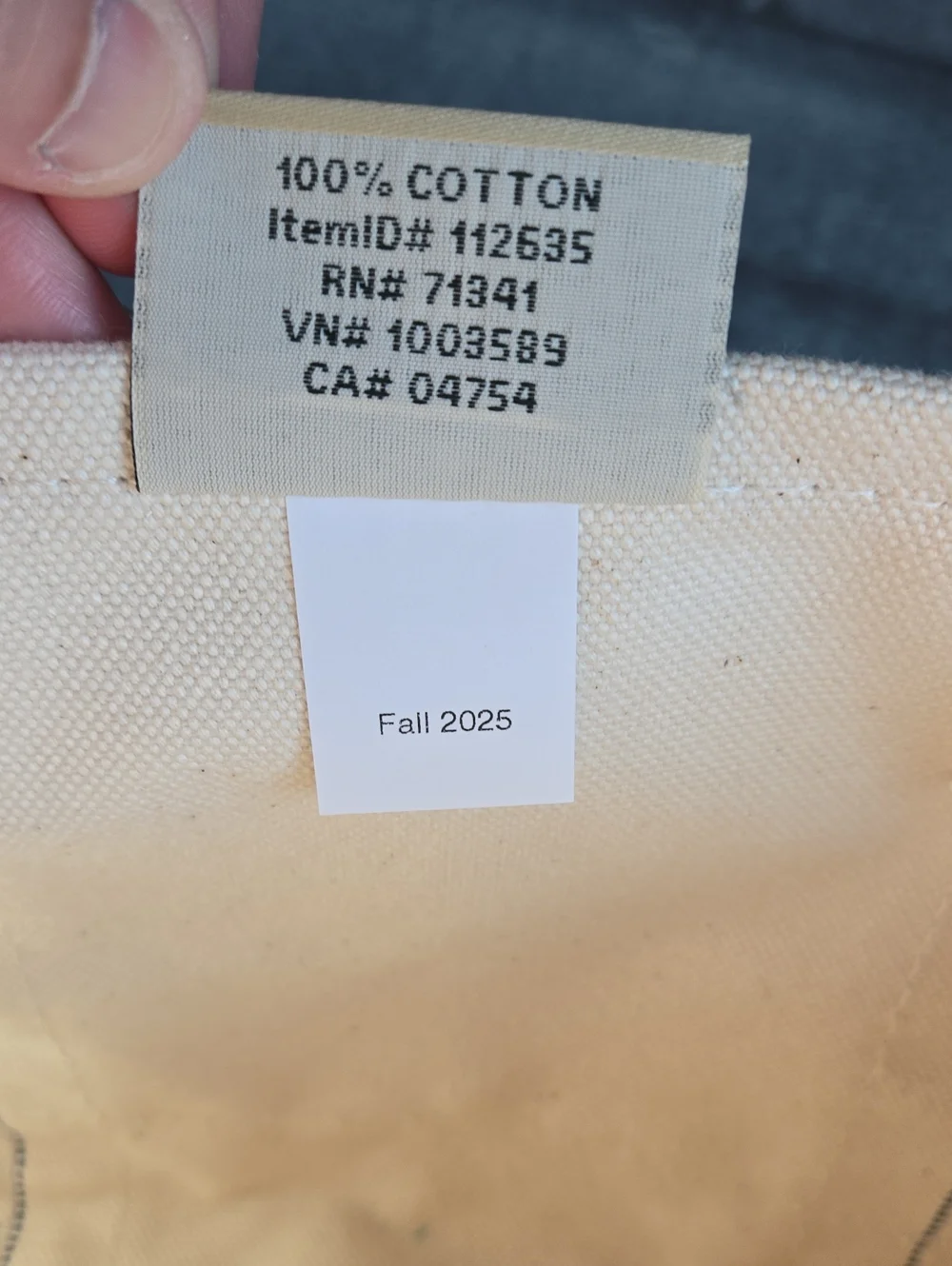 NWT L.L. Bean Boat And Tote Mini Canvas Bag Green